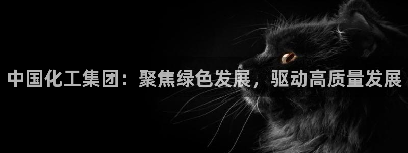 球盟会黑款吗知乎文章：中国化工集团：聚焦绿色发展，驱动高质量