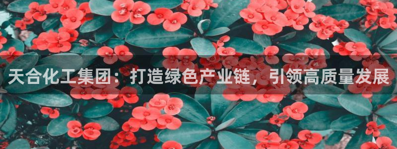 球盟会最新网
