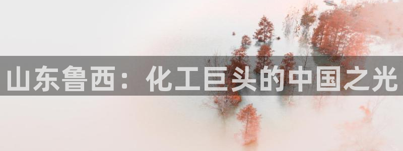球盟会官方网站app：山东鲁西：化工巨头的中国之光