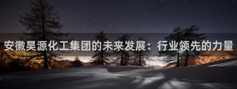 球盟会中国网页登录：安徽昊源化工集团的未来发展：行业领先的力