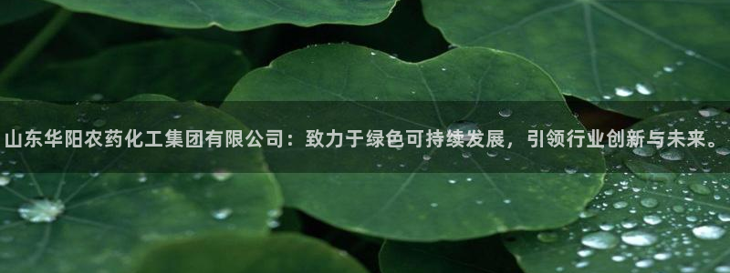 球盟会登陆