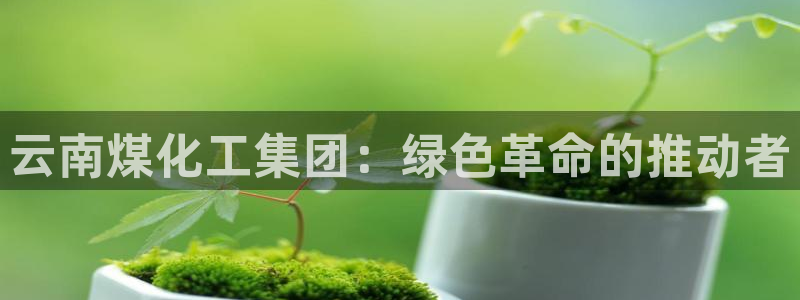 球盟会电子游戏平台：云南煤化工集团：绿色革命的推动者