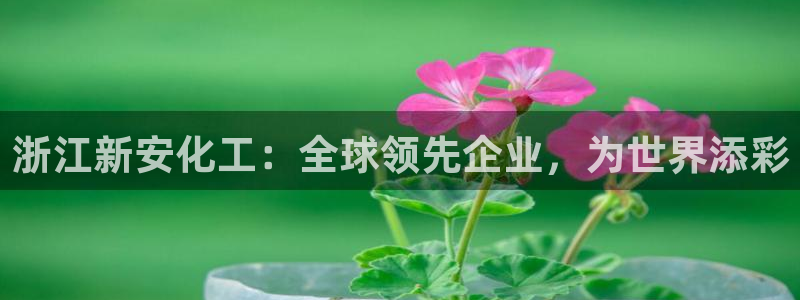 球盟会网页版登陆：浙江新安化工：全球领先企业，为世界添彩