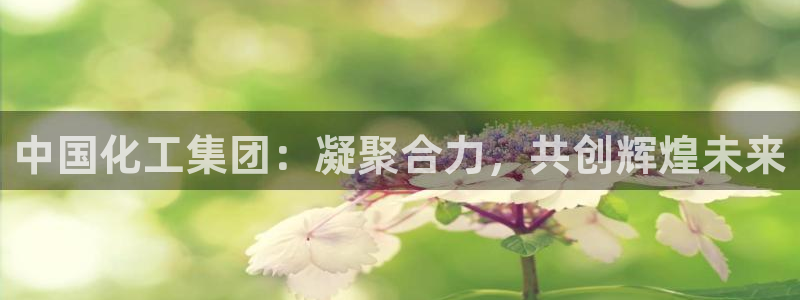 球盟会有没有黑单的球员
