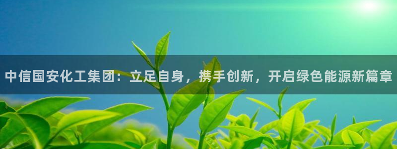 球盟会登录平台：中信国安化工集团：立足自身，携手创新，开启绿