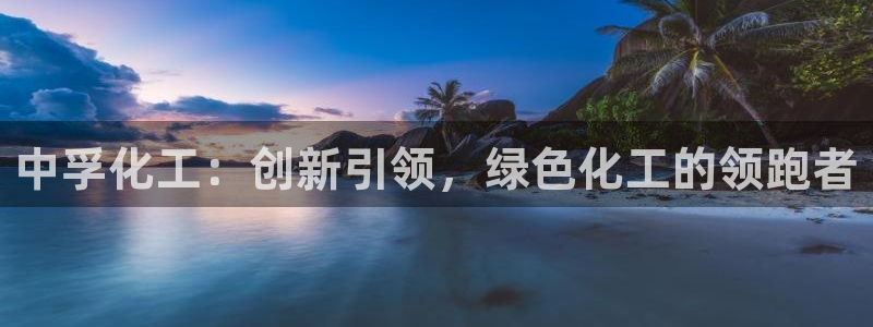 球盟会登陆中心