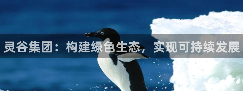球盟会黑款吗知乎：灵谷集团：构建绿色生态，实现可持续发展