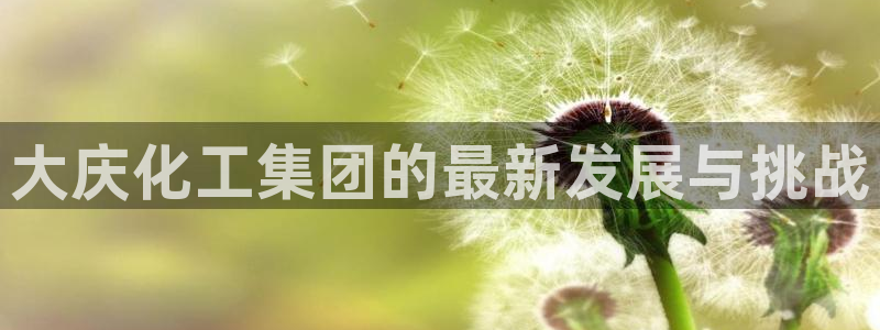 球盟会黑：大庆化工集团的最新发展与挑战