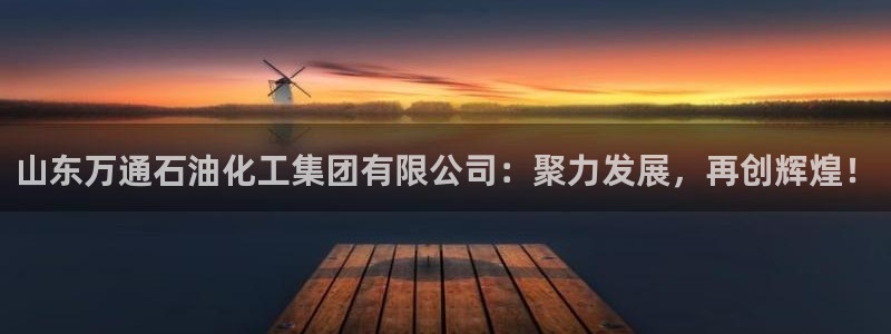 球盟会进不去