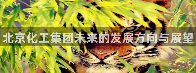 球盟会qmh：北京化工集团未来的发展方向