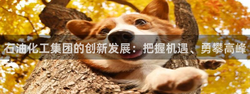 球盟会官方网站app：石油化工集团的创新