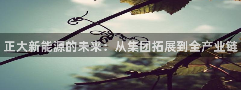 球盟会最新网：正大新能源的未来：从集团拓
