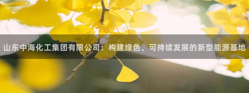 球盟会国际官网