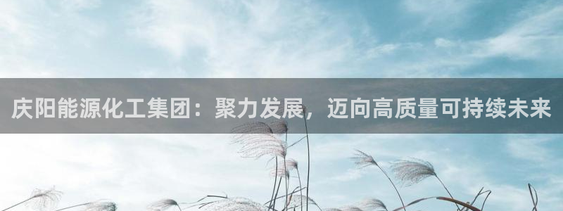 球盟会黑平台