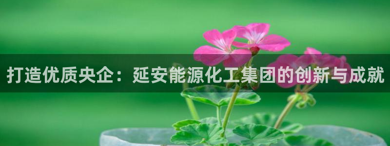 球盟会app安装：打造优质央企：延安能源化工集团的创新与成就