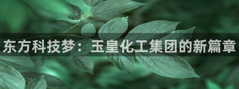 球盟会头号玩家是谁：东方科技梦：玉皇化工