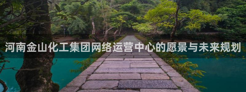 球盟会头号玩家：河南金山化工集团网络运营