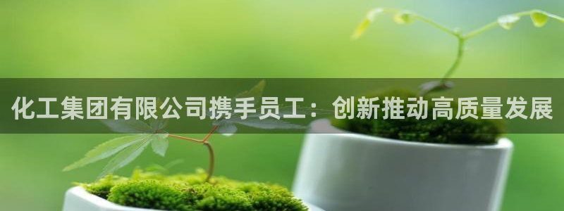 球盟会进不去：化工集团有限公司携手员工：创新推动高质量发展