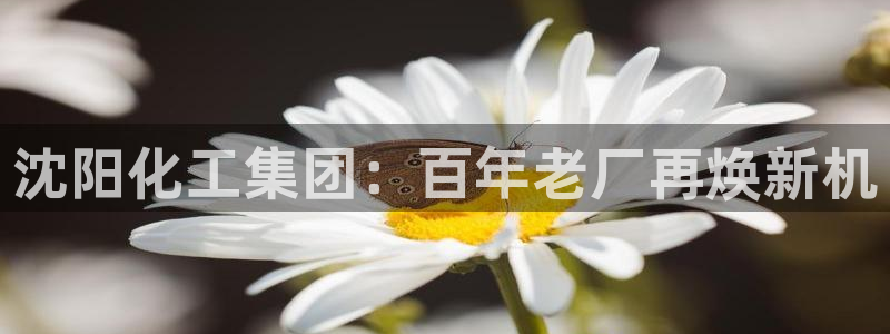 球盟会进不去
