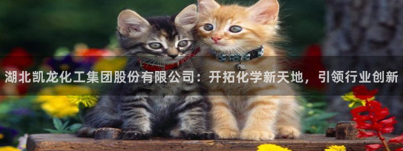 球盟会官网网页版