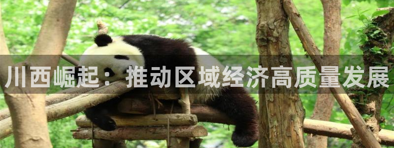 球盟会优惠领取网站