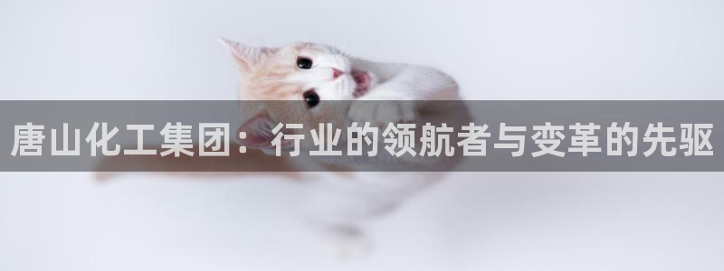球盟会能提现吗