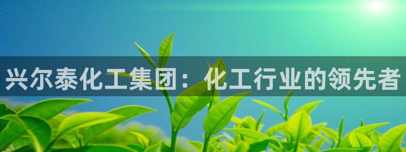 球盟会黑