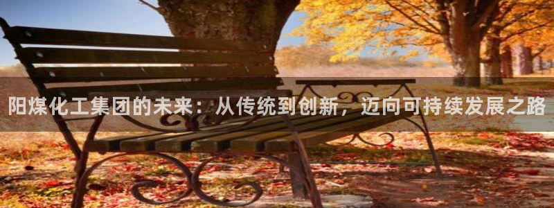 球盟会出款黑了：阳煤化工集团的未来：从传