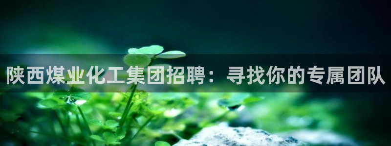 球盟会qmh：陕西煤业化工集团招聘：寻找你的专属团队