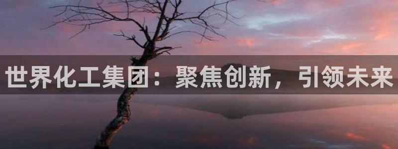 球盟会电子：世界化工集团：聚焦创新，引领未来