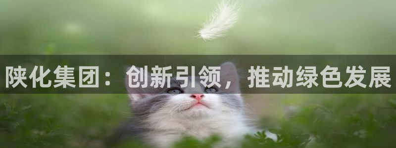 球盟会和中欧：陕化集团：创新引领，推动绿色发展