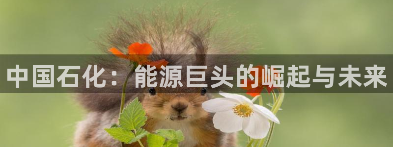 球盟会qmh登录地址