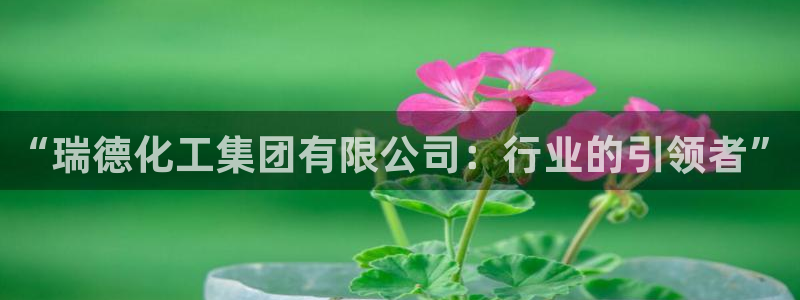 球盟会黑款吗还是白款：“瑞德化工集团有限公司：行业的引领者”