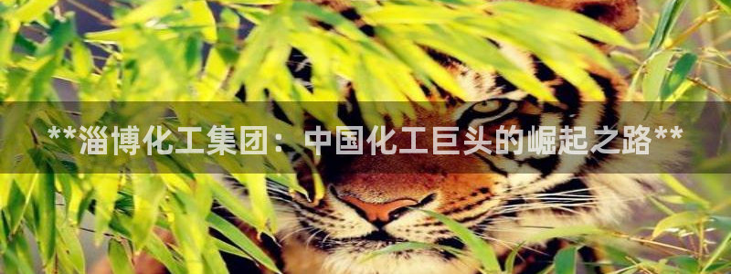 球盟会app最新地址在哪