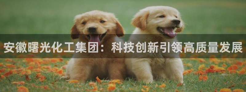 球盟会和中欧：安徽曙光化工集团：科技创新引领高质量发展