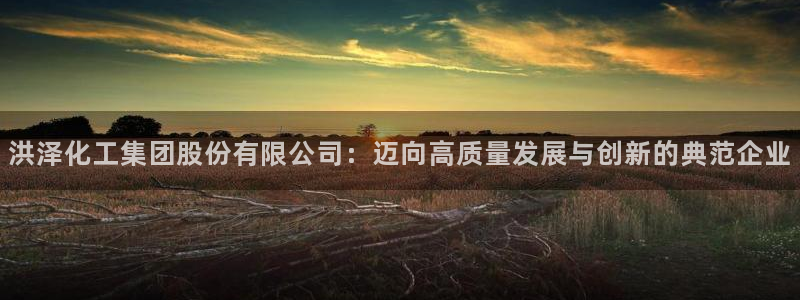 球盟会app网址多少号：洪泽化工集团股份有限公司：迈向高质量