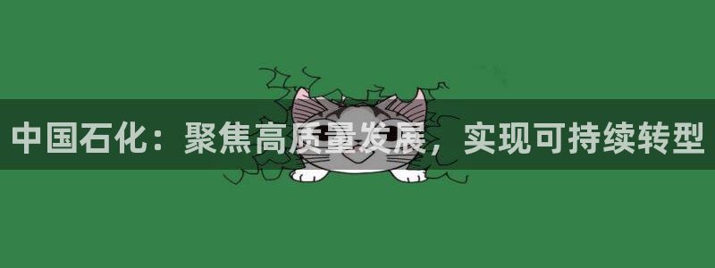 球盟会能退钱吗现在：中国石化：聚焦高质量发展，实现可持续转型