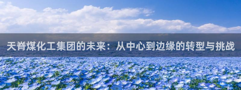 球盟会app最新地址下载：天脊煤化工集团的未来：从中心到边缘