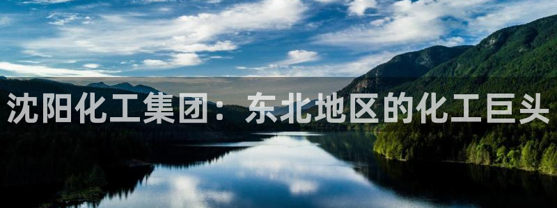 球盟会qm：沈阳化工集团：东北地区的化工巨头