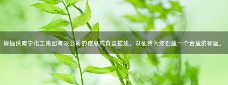 球盟会在线登录官网：请提供南宁化工集团有限公司的信息或背景描