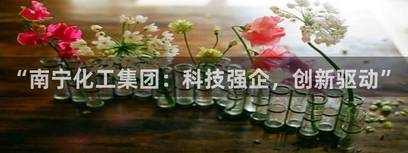 球盟会可以提现么是真的吗