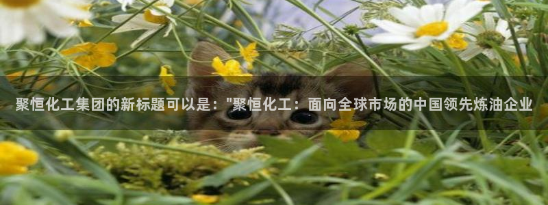 球盟会里面有打牌的嘛：聚恒化工集团的新标题可以是：\