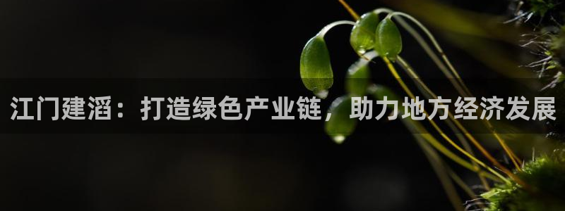 球盟会里面有打牌的嘛