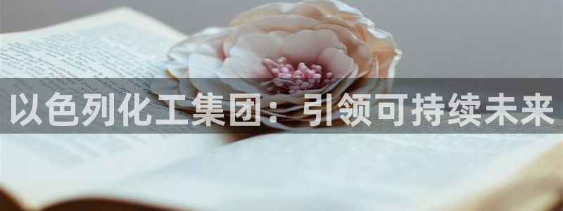 球盟会qm8597：以色列化工集团：引领