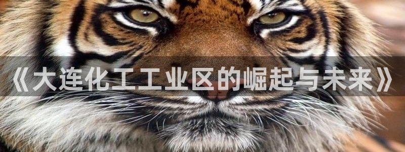 球盟会app最新地址下载