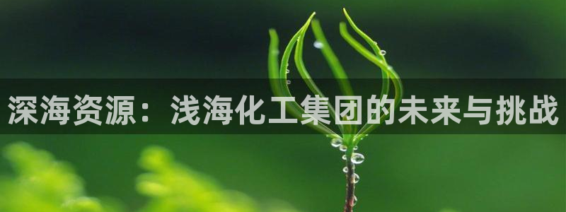 球盟会优惠码：深海资源：浅海化工集团的未来与挑战