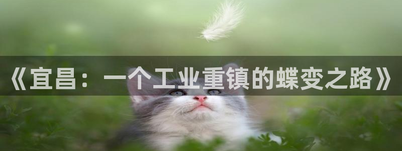 球盟会官方网站app：《宜昌：一个工业重镇的蝶变之路》