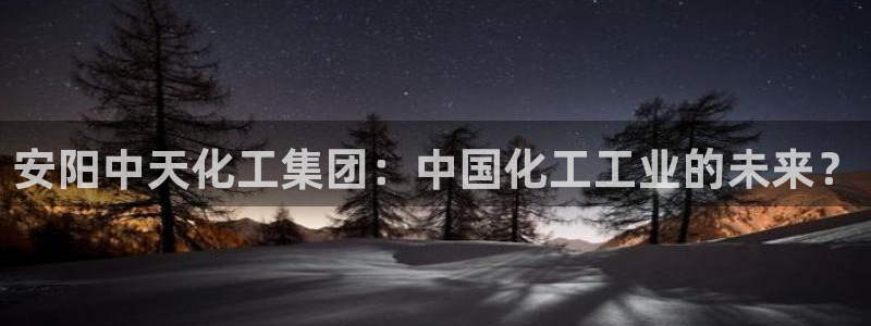 球盟会游戏：安阳中天化工集团：中国化工工业的未来？