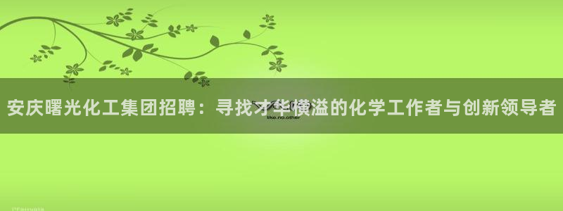 球盟会综合体育平台怎么样：安庆曙光化工集团招聘：寻找才华横溢