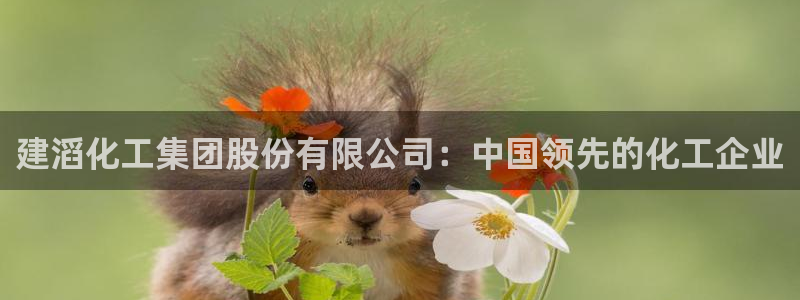 球盟会游戏：建滔化工集团股份有限公司：中国领先的化工企业